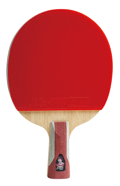 Li-Ning DHS Holz H6006 Short Handle Noppen innen